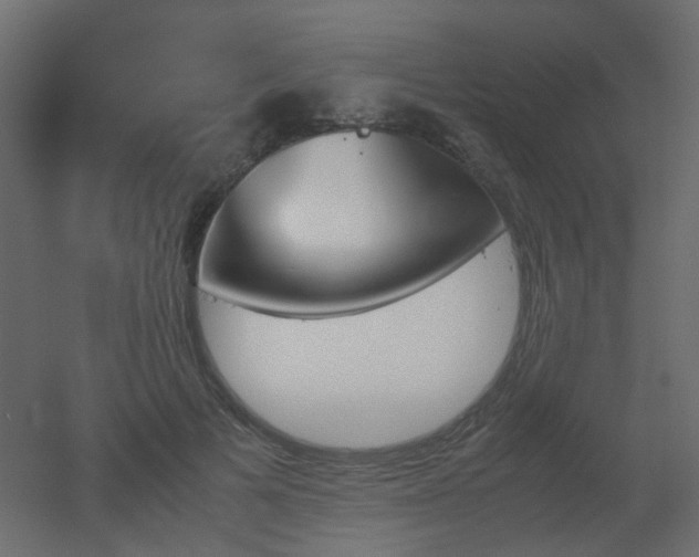 X0000051910697200506241443