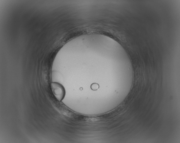 X0000051910698200506241443