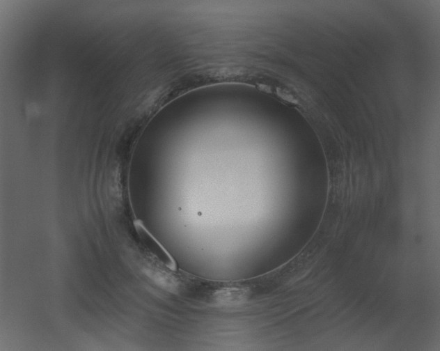 X0000051910700200506241443