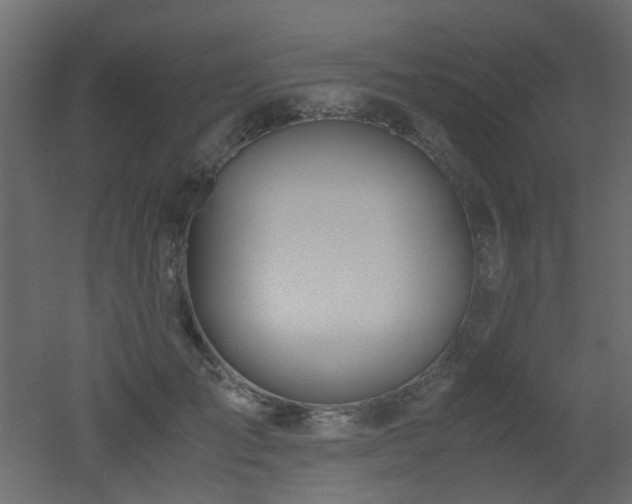 X0000051910701200506241443