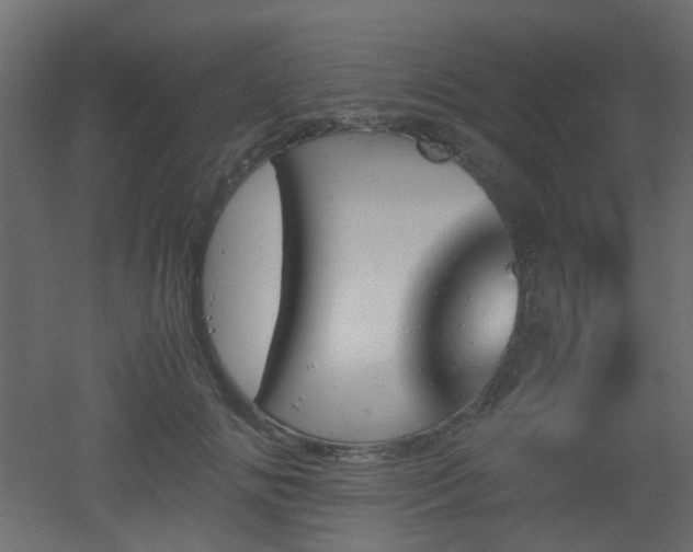 X0000051910702200506241443