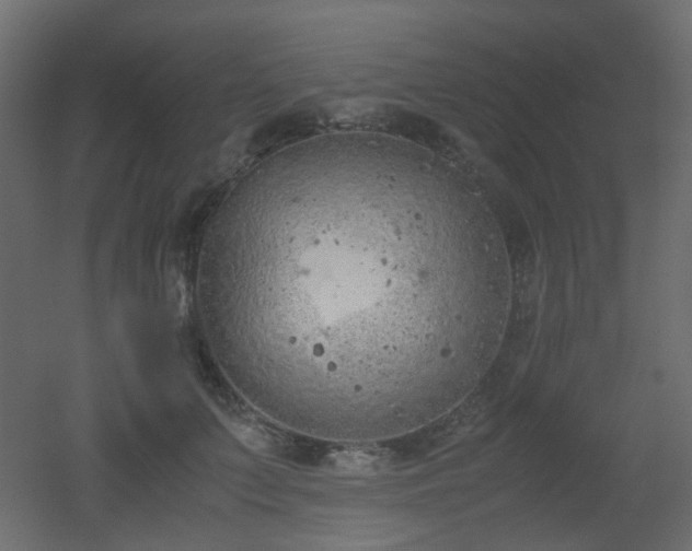 X0000051910703200506241443