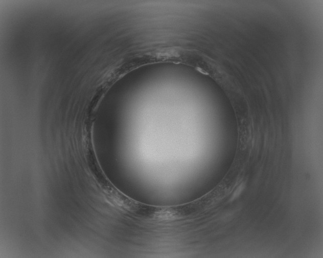 X0000051910704200506241443