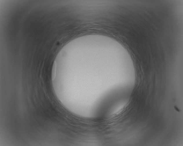 X0000051910705200506241443