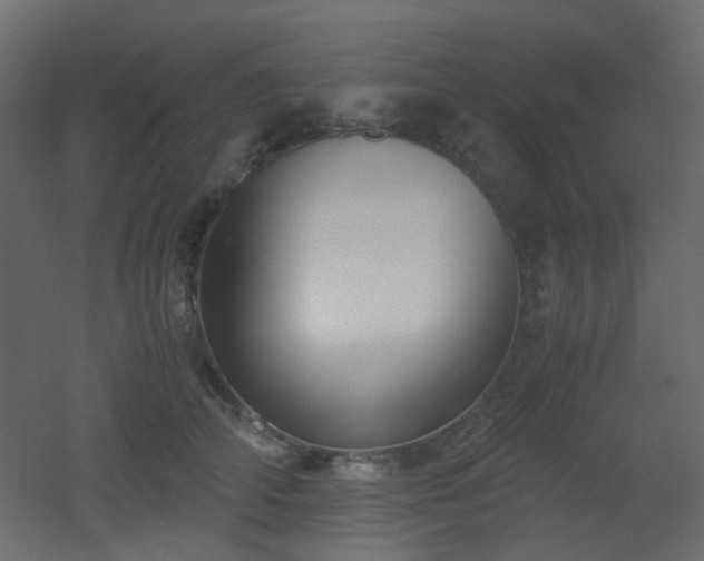 X0000051910706200506241443