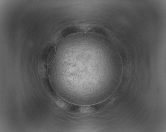 X0000051910707200506241443