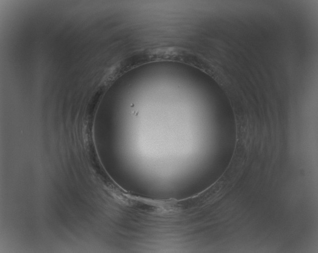 X0000051910708200506241443