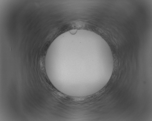 X0000051910709200506241443