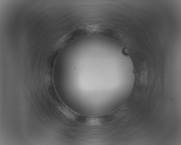 X0000051910710200506241443