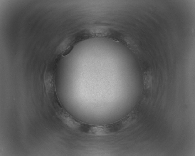 X0000051910713200506241443