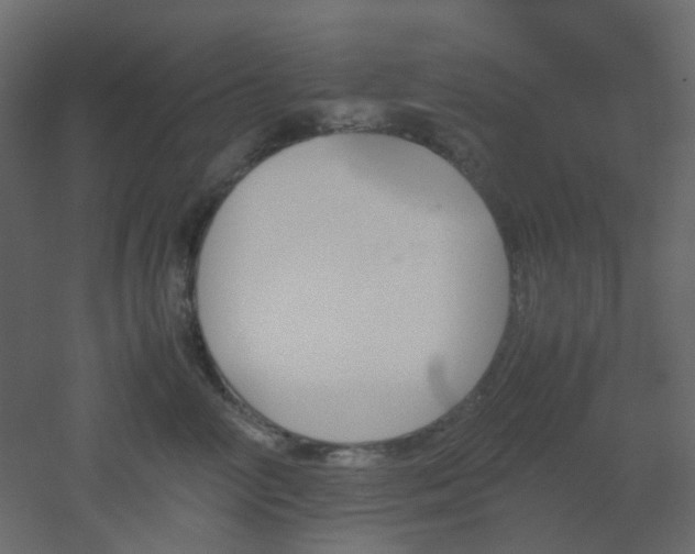 X0000051910714200506241443