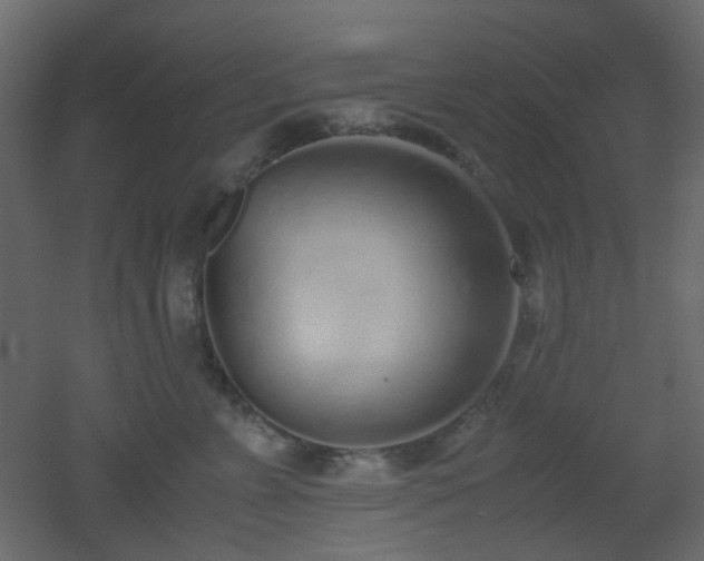 X0000051910715200506241443