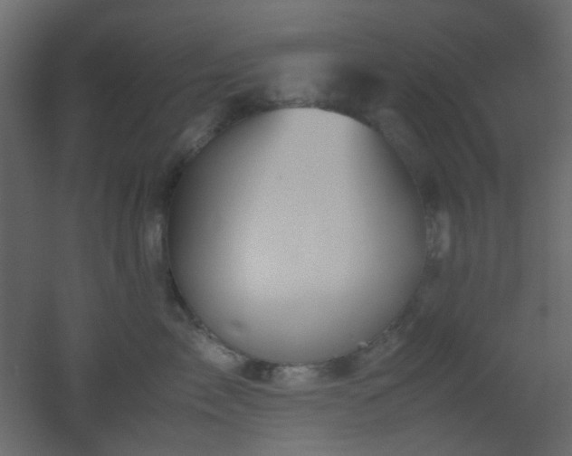 X0000051910717200506241443