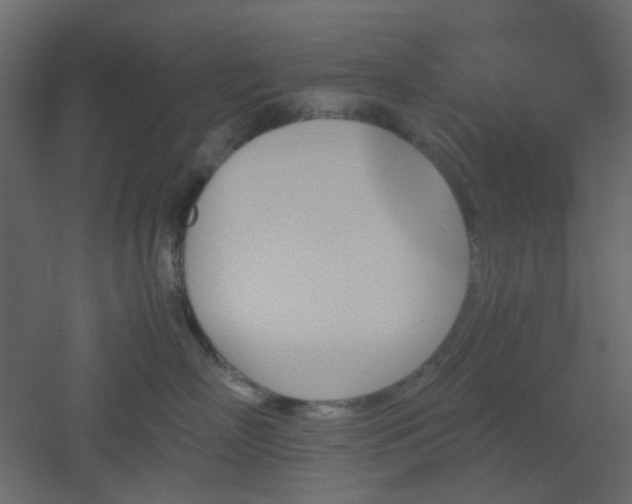 X0000051910718200506241443