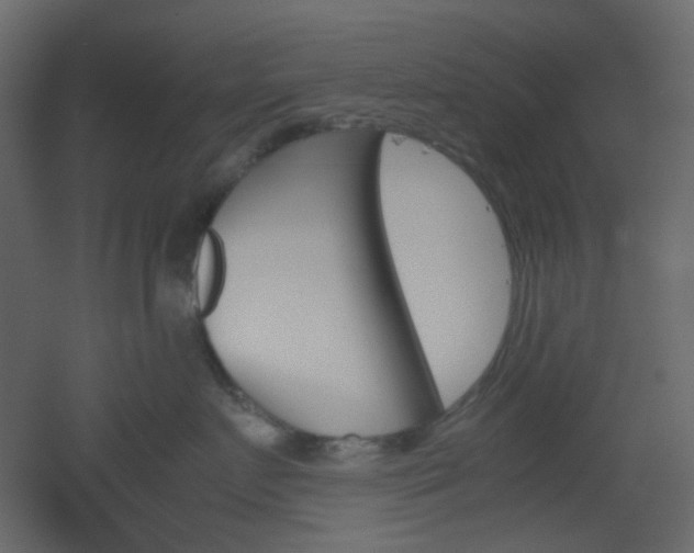 X0000051910719200506241443