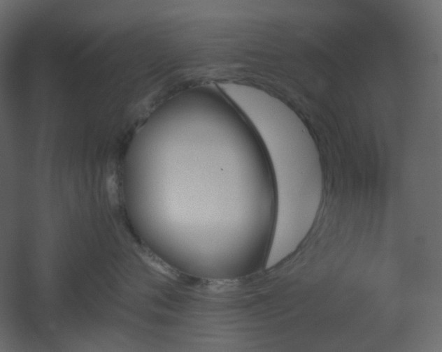 X0000051910720200506241443