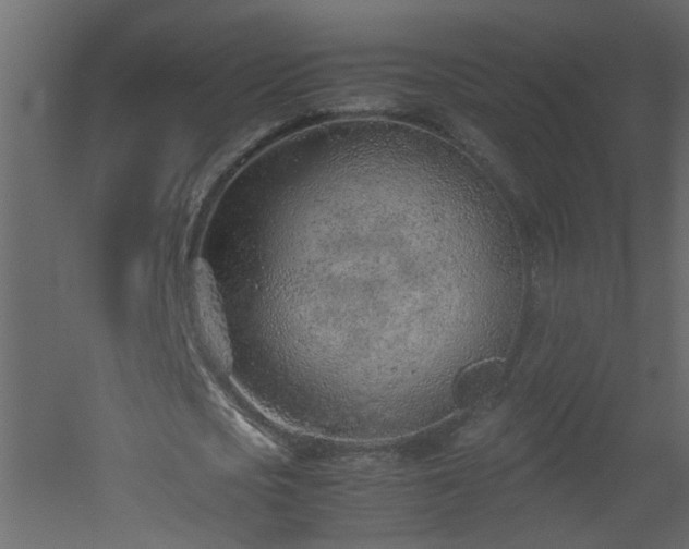 X0000051910721200506241442