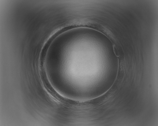 X0000051910722200506241442