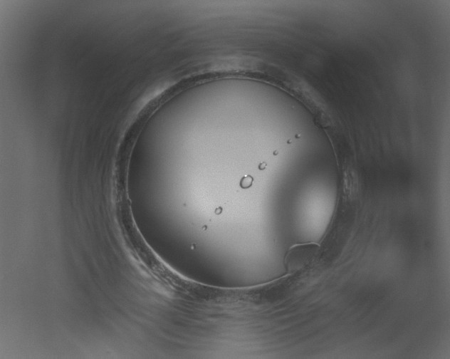 X0000051910724200506241442