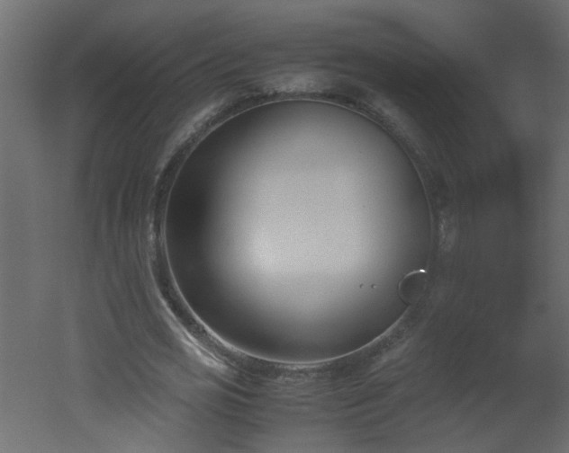 X0000051910725200506241442