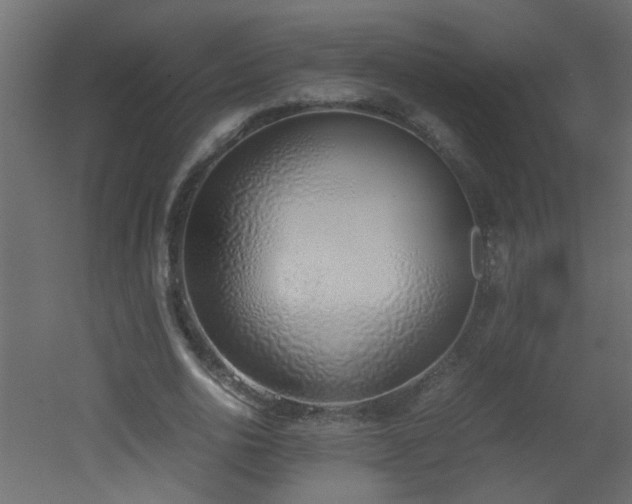 X0000051910726200506241442