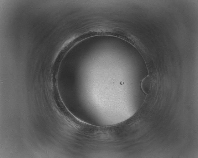 X0000051910727200506241442