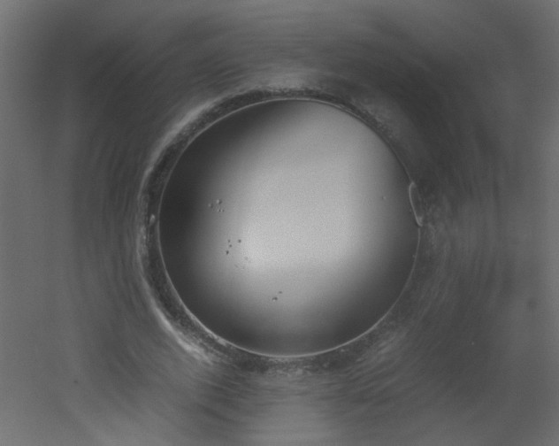 X0000051910728200506241442