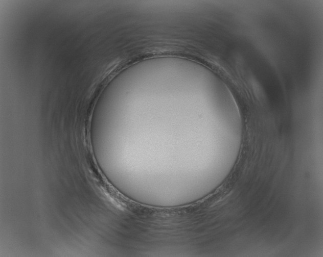 X0000051910729200506241442