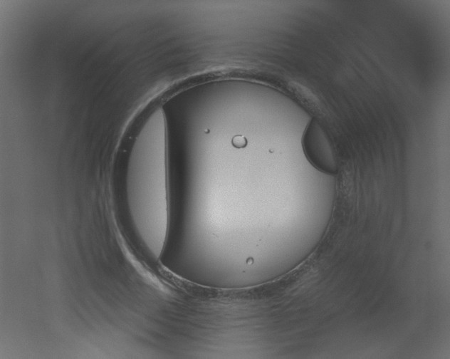 X0000051910730200506241442