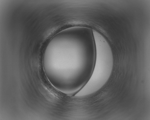 X0000051910732200506241442