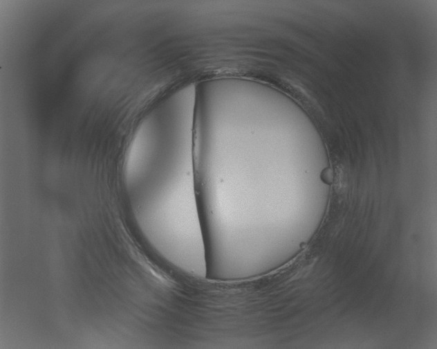 X0000051910733200506241442