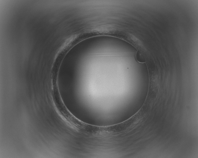 X0000051910734200506241442