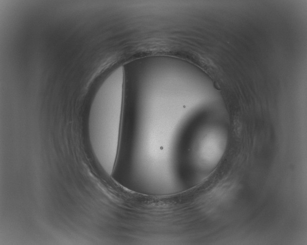 X0000051910735200506241442