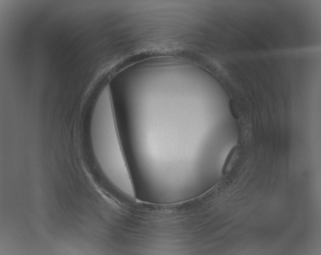 X0000051910736200506241442