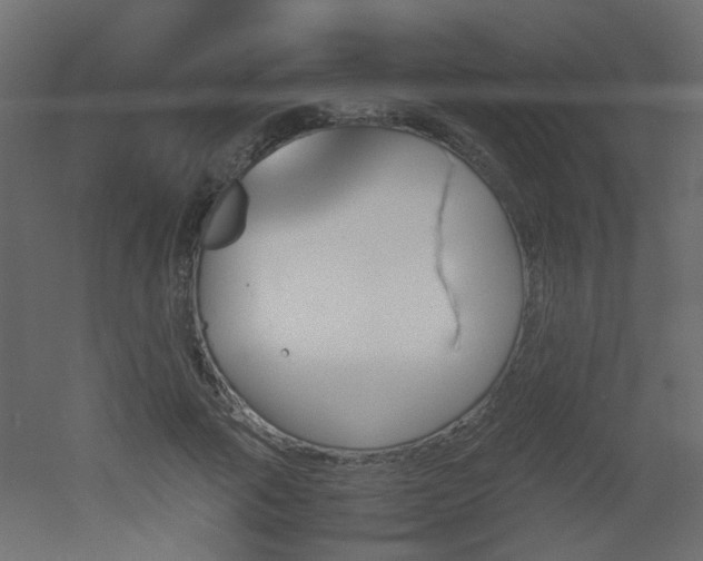 X0000051910737200506241442