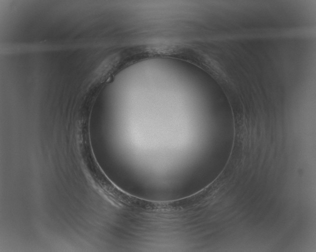 X0000051910738200506241442