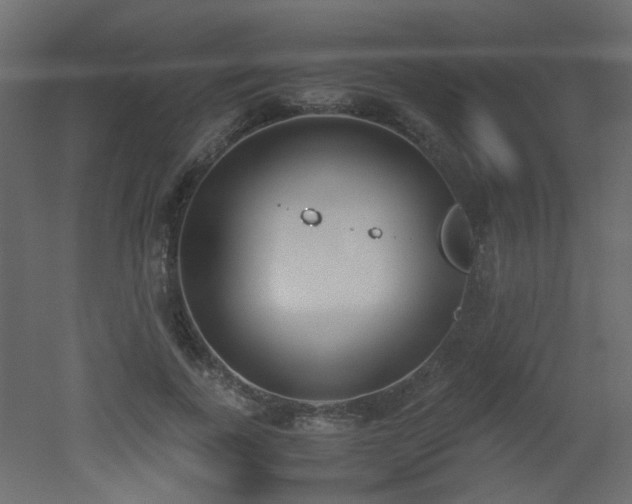 X0000051910739200506241442