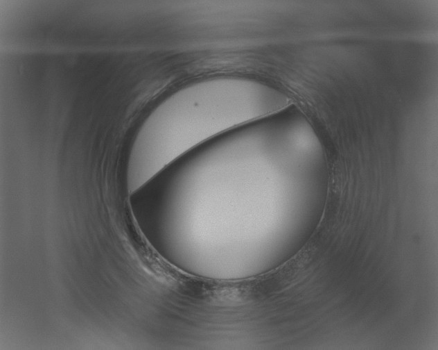 X0000051910740200506241442