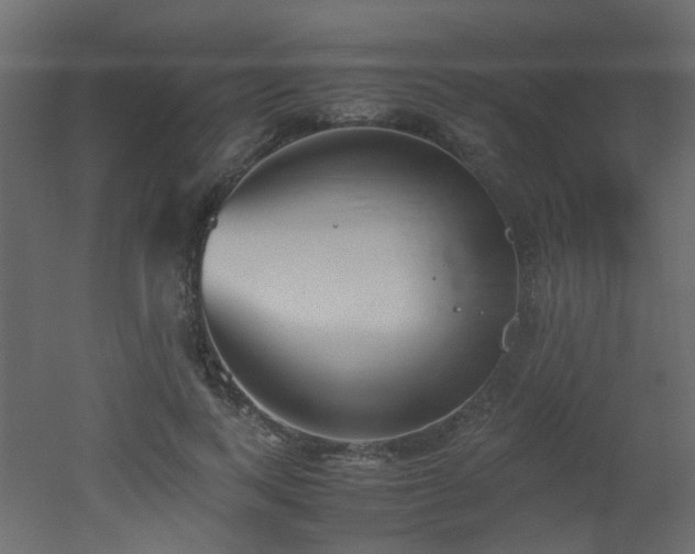 X0000051910743200506241442