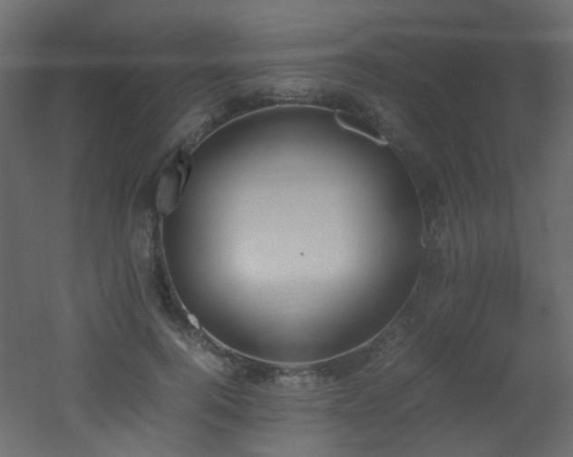 X0000051910744200506241442