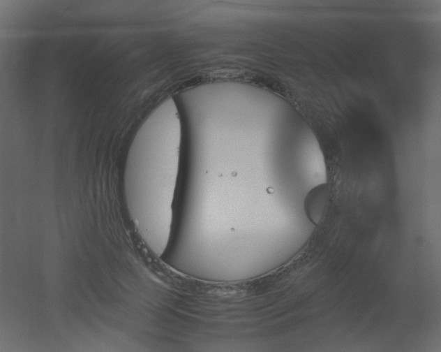 X0000051910745200506241442