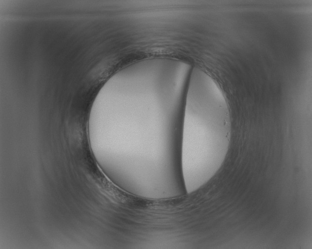 X0000051910746200506241442