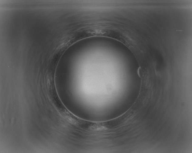 X0000051910747200506241442