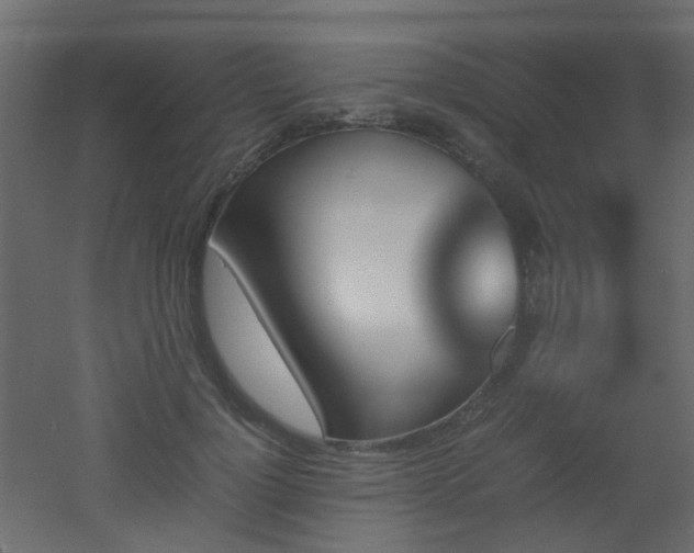 X0000051910748200506241442