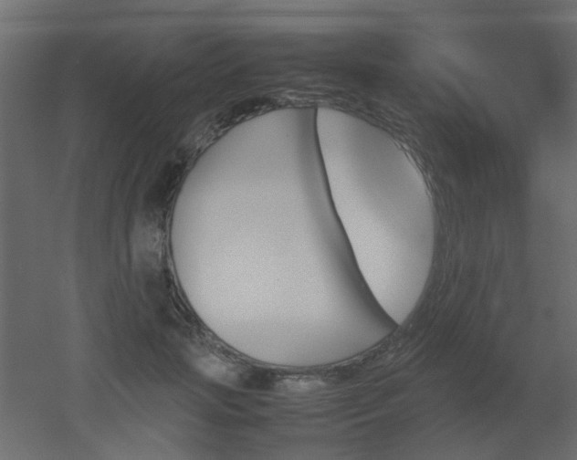 X0000051910749200506241442