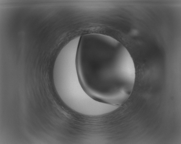 X0000051910750200506241442