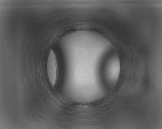 X0000051910751200506241442