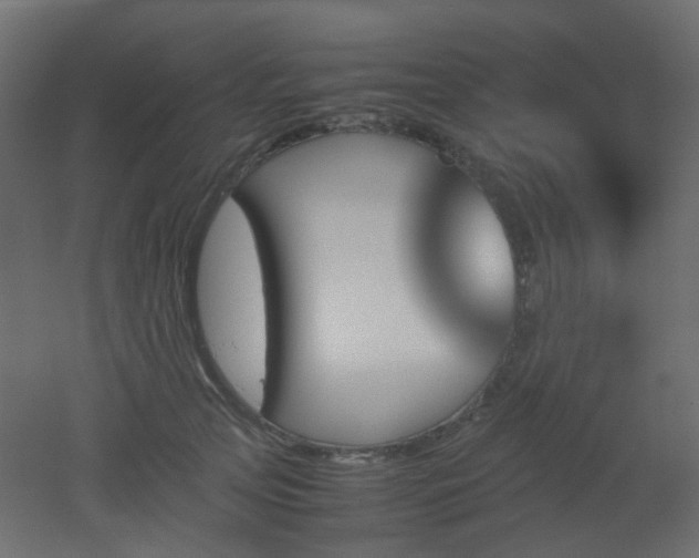 X0000051910753200506241442