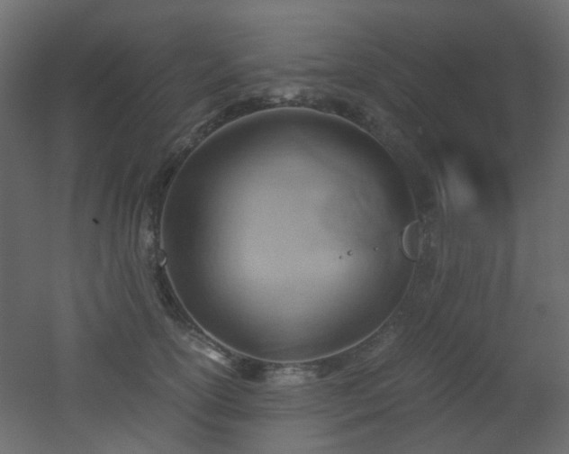 X0000051910754200506241442