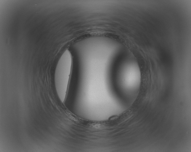 X0000051910755200506241442